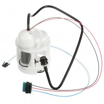 Delphi FE0691 Fuel Pump and Strainer Set product image 1 of 9