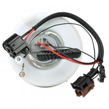 Delphi FE0747 Fuel Pump and Strainer Set product image 2 of 12