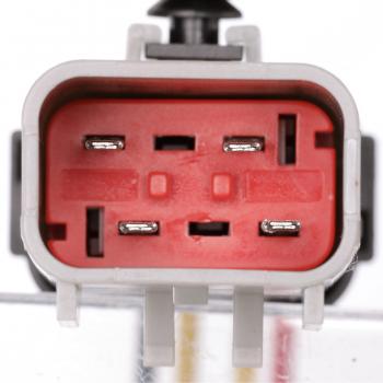 Delphi FG0813 Fuel Pump Module Assembly product image 6 of 11