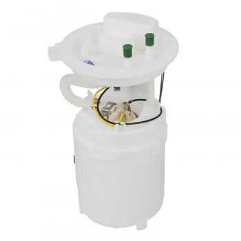 Delphi FG0973 Fuel Pump Module Assembly product image 1 of 9