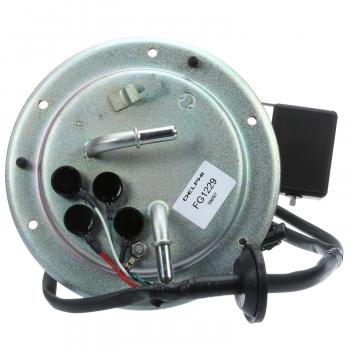 Delphi FG1229 Fuel Pump Module Assembly product image 9 of 10