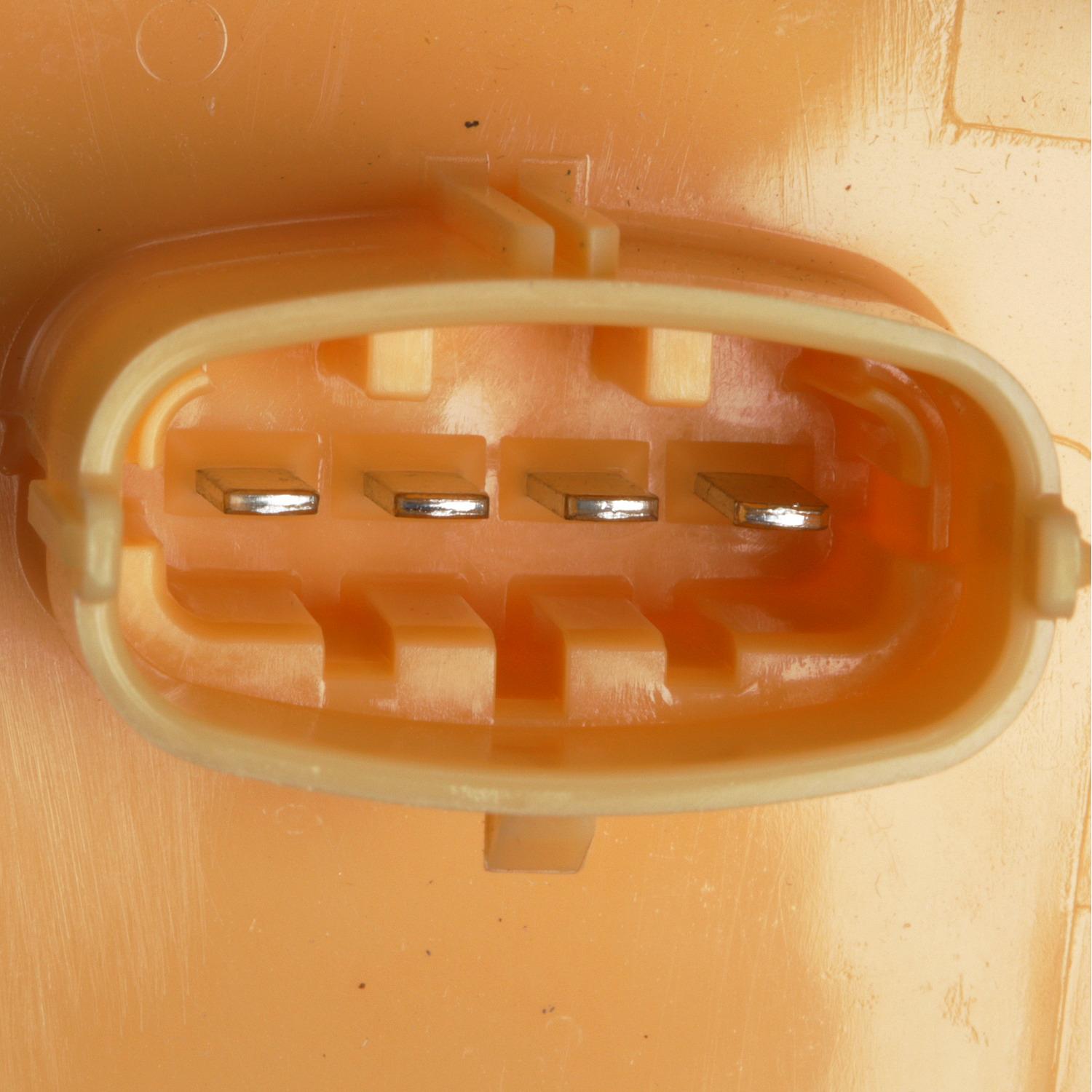 Delphi FG1981 Fuel Pump Module Assembly product image 3 of 9