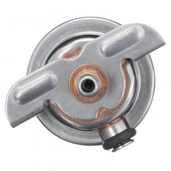Delphi FP10302 Fuel Injection Pressure Regulator product image 3 of 7
