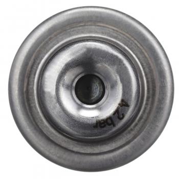 Delphi FP10530 Fuel Injection Pressure Regulator product image 5 of 7