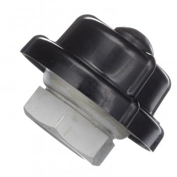 Delphi FP10708 Fuel Injection Pressure Regulator product image 1 of 7