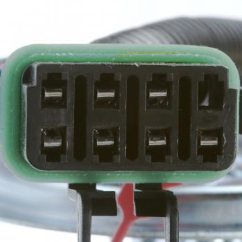 Delphi HP10037 Fuel Pump and Sender Assembly product image 5 of 11