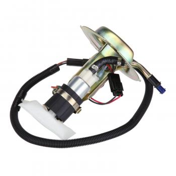 Delphi HP10179 Fuel Pump and Sender Assembly product image 1 of 9