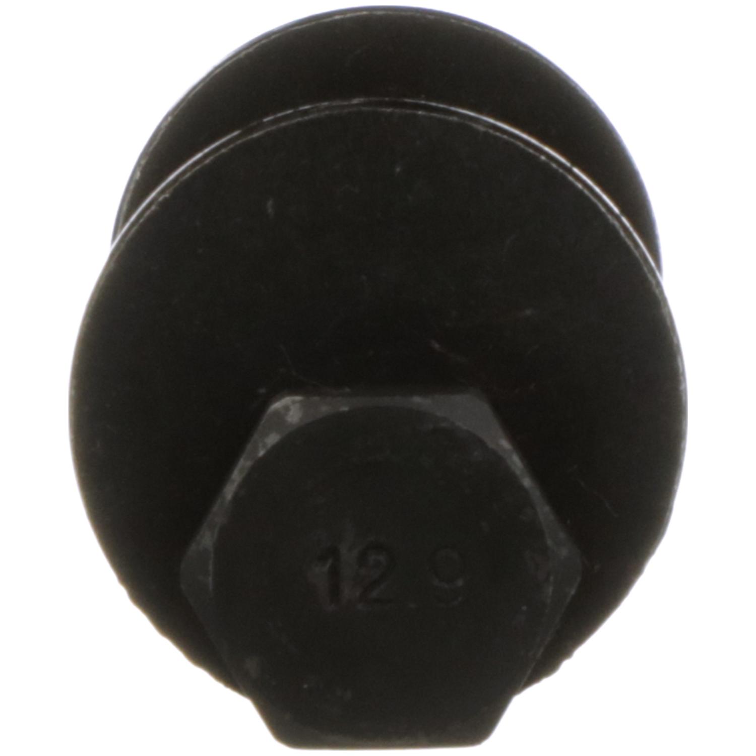 Delphi TAL10028 Alignment Cam Bolt Kit product image 7 of 7