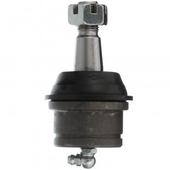Delphi TC2581 - Suspension Ball Joint Delphi TC2581 Suspension Ball Joint product image 2 of 5