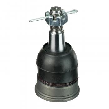 Delphi TC2900 Suspension Ball Joint product image 1 of 1