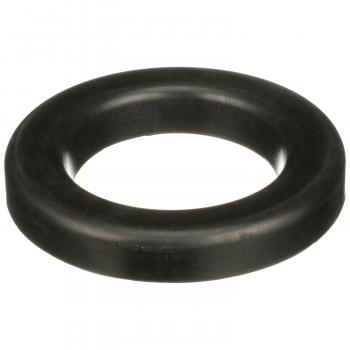 Delphi TC6459 Suspension Coil Spring Seat product image 1 of 7