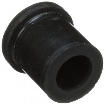 Delphi TD4356W Leaf Spring Bushing product image 1 of 4
