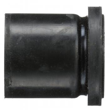 Delphi TD4356W Leaf Spring Bushing product image 4 of 4