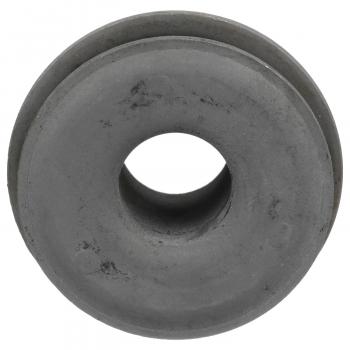 Delphi TD4421W Suspension Control Arm Bushing product image 2 of 7