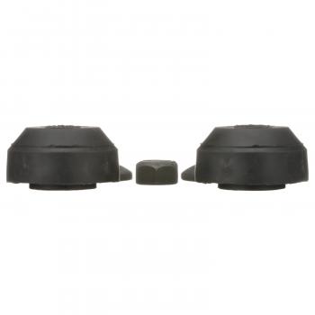 Delphi TD4582W Suspension Strut Rod Bushing Kit product image 2 of 7