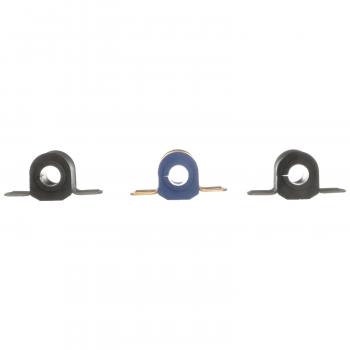 Delphi TD4602W Suspension Stabilizer Bar Bushing Kit product image 2 of 5