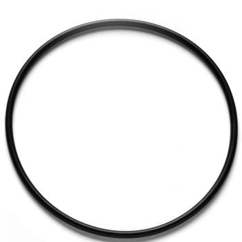 Denso 9540001 Fuel Pump Tank Seal product image 1 of 1