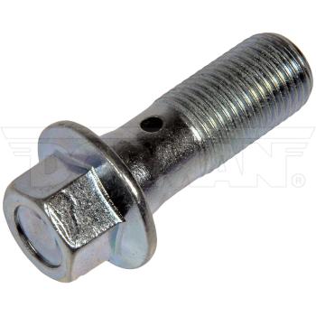 Dorman 14100 Brake Hydraulic Hose to Caliper Bolt product image 1 of 1
