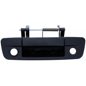 Dorman 15700 Tailgate Handle product image 1 of 4