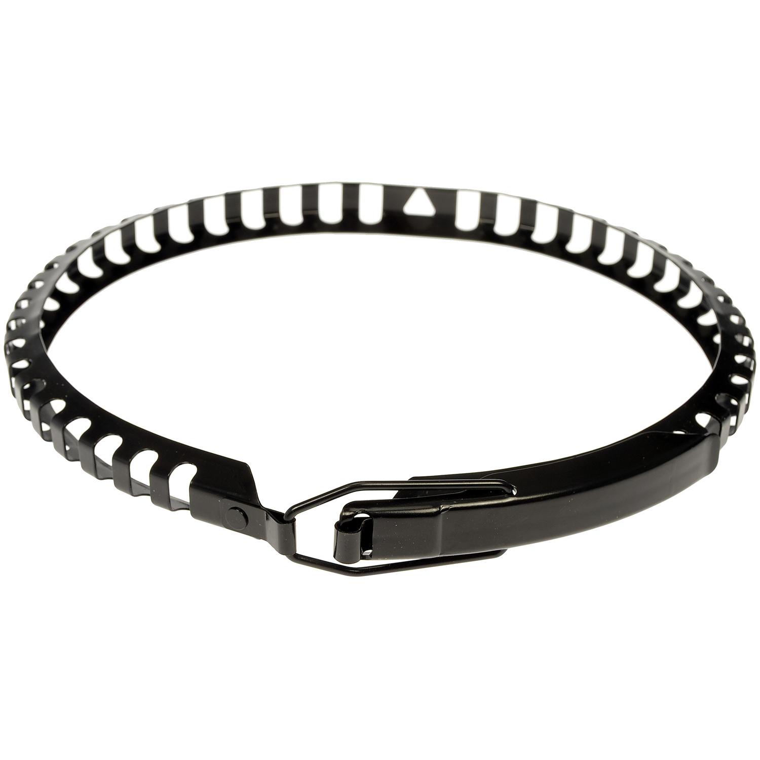 Dorman 41047CD Air Filter Housing Clamp product image 1 of 4