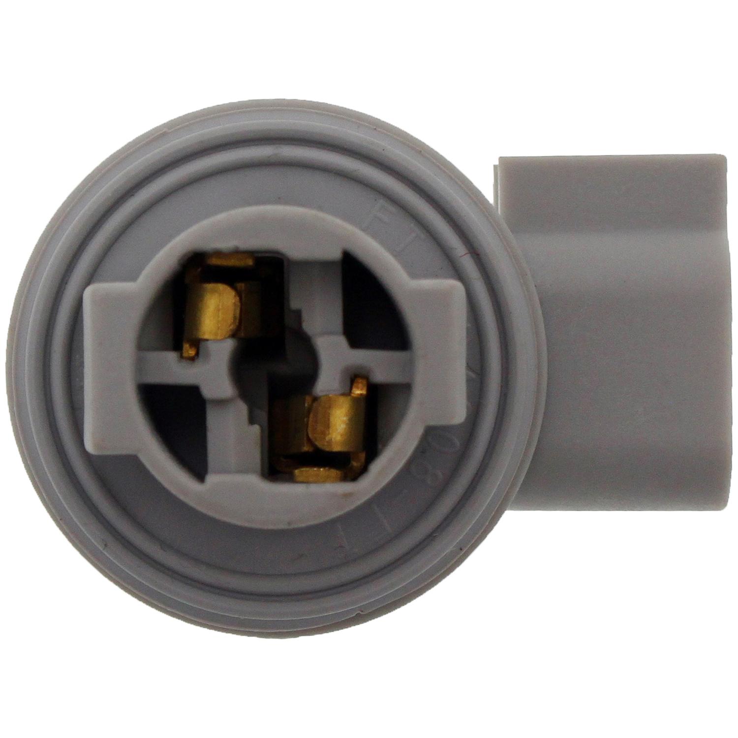 Dorman 645179 - License Lamp Socket Dorman 645179 License Lamp Socket product image 1 of 4