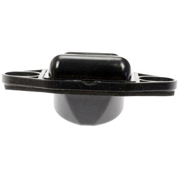 Dorman 68206 License Lamp Lens product image 3 of 4