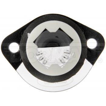 Dorman 68210 License Lamp Lens product image 2 of 5