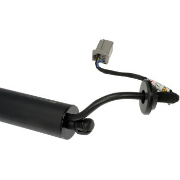 Dorman 747036 Liftgate Lift / Pull Down Motor product image 2 of 5