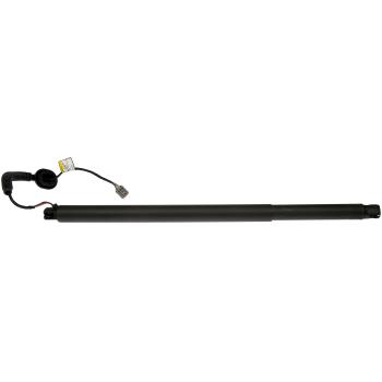 Dorman 747041 Liftgate Cylinder product image 1 of 5