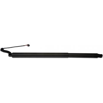 Dorman 747054 Liftgate Cylinder product image 1 of 4