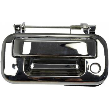 Dorman 91076M Tailgate Handle product image 1 of 4