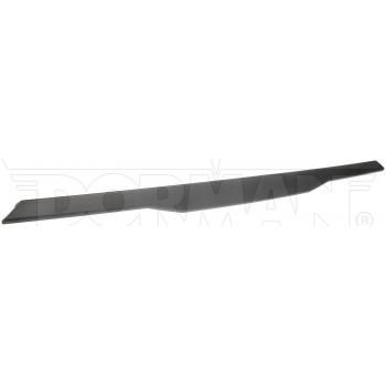 Dorman 925623 - Tailgate Molding Dorman 925623 Tailgate Molding product image 1 of 5