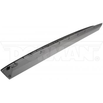 Dorman 925624 Tailgate Molding product image 1 of 5