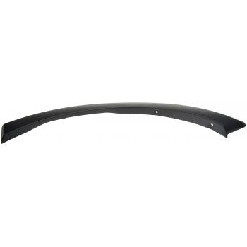 Dorman 927332 Door Molding product image 1 of 5