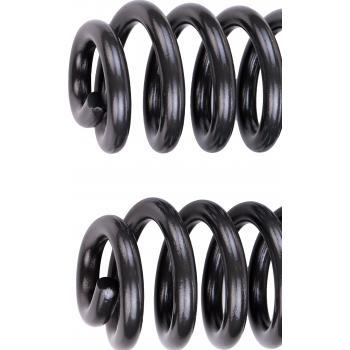 Dorman 929901 Coil Spring product image 2 of 5