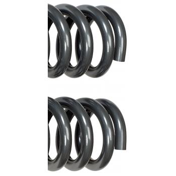 Dorman 929919 Coil Spring product image 3 of 5