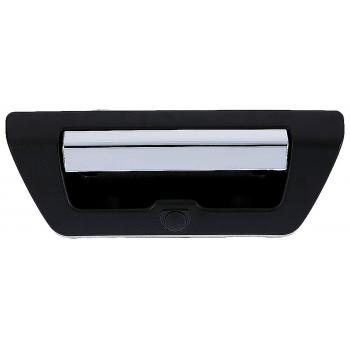 Dorman 97697 - Tailgate Handle Dorman 97697 Tailgate Handle product image 1 of 4