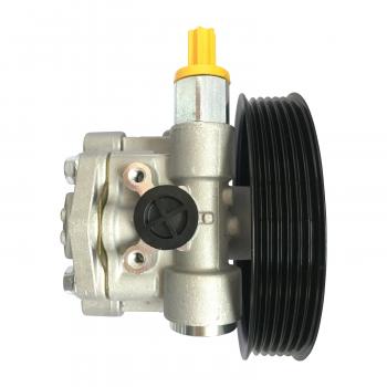 Edelmann 6009P Power Steering Pump product image 1 of 3