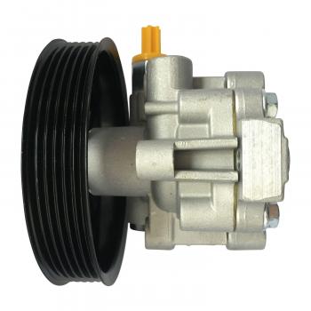 Edelmann 6009P Power Steering Pump product image 3 of 3