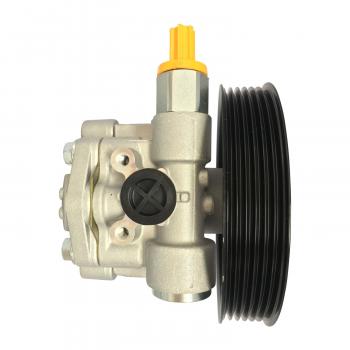 Edelmann 6010P Power Steering Pump product image 1 of 3