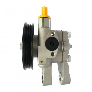 Edelmann 6031P Power Steering Pump product image 1 of 3