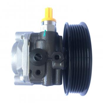 Edelmann 6032P - Power Steering Pump Edelmann 6032P Power Steering Pump product image 1 of 3