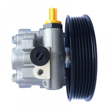 Edelmann 6043P - Power Steering Pump Edelmann 6043P Power Steering Pump product image 1 of 4