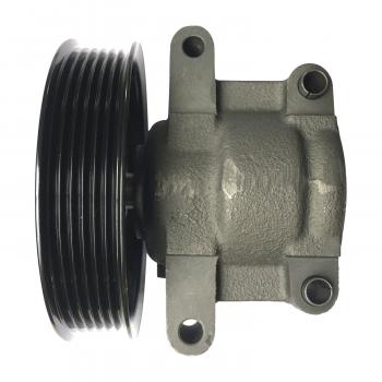 Edelmann 6069PX - Power Steering Pump Edelmann 6069PX Power Steering Pump product image 4 of 4