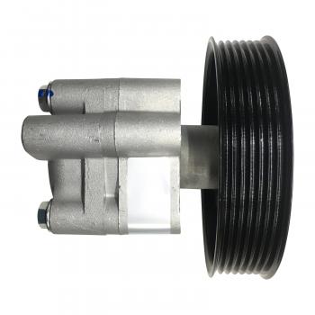 Edelmann 6153P Power Steering Pump product image 1 of 4