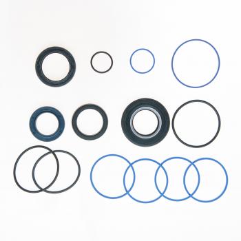 Edelmann 8731 Rack and Pinion Seal Kit product image 1 of 1