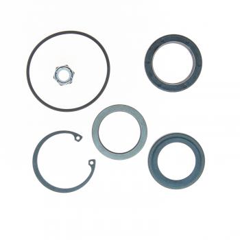 Edelmann 8773 - Steering Gear Pitman Shaft Seal Kit Edelmann 8773 Steering Gear Pitman Shaft Seal Kit product image 1 of 1