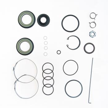 Edelmann 8789 Rack and Pinion Seal Kit product image 1 of 1