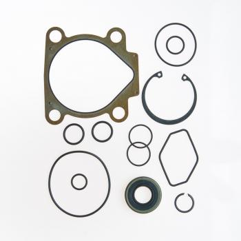 Edelmann 8823 - Power Steering Pump Seal Kit Edelmann 8823 Power Steering Pump Seal Kit product image 1 of 1