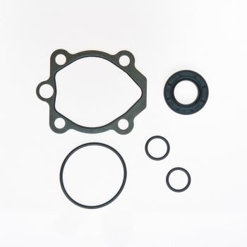 Edelmann 8832 - Power Steering Pump Seal Kit Edelmann 8832 Power Steering Pump Seal Kit product image 1 of 1